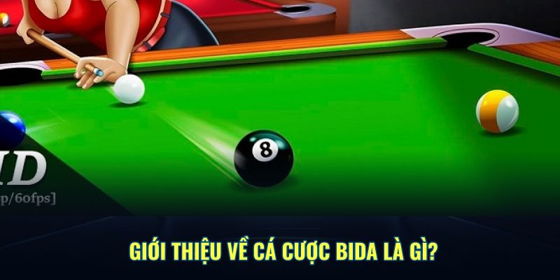 Giới thiệu về cá cược bida online