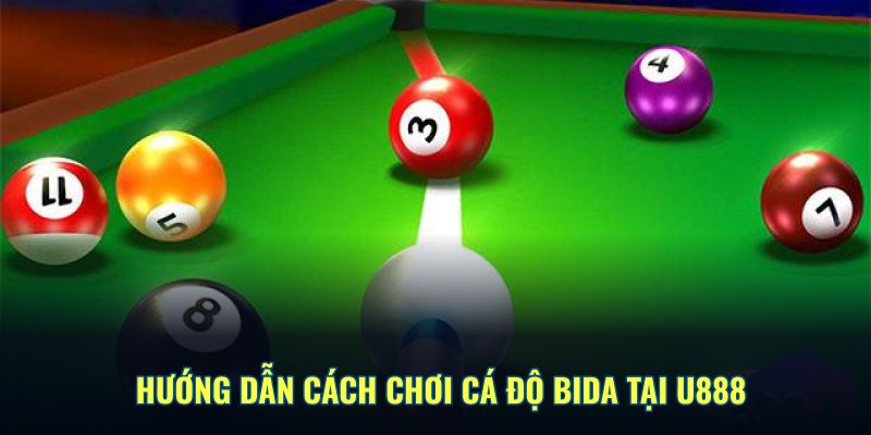 Hướng dẫn cách chơi cá cược bida online tại U888