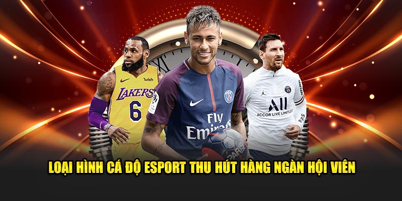 Loại hình cá độ Esport thu hút hàng ngàn hội viên