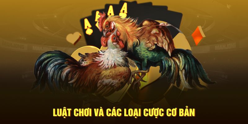 Luật chơi online và các loại cược cơ bản về đá gà cựa sắt