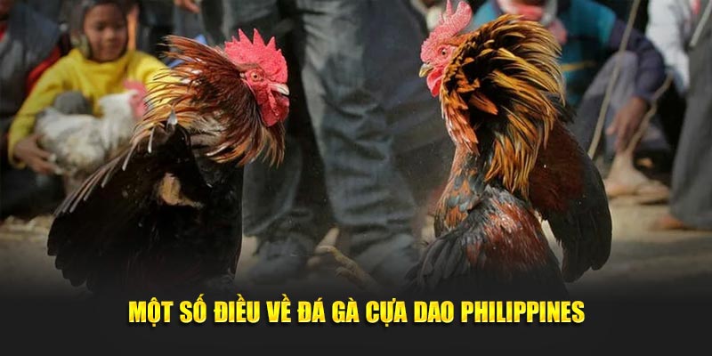 Một số điều về đá gà cựa dao Philippines