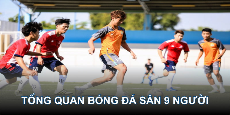 Thông tin sơ bộ về bóng đá sân 9 người tại sân chơi 79king